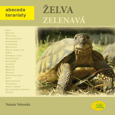 Želva zelenavá - Nataša Velenská [kniha]