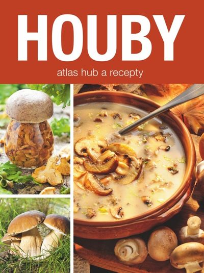 Houby: atlas hub a recepty - Autor Neuveden [kniha]