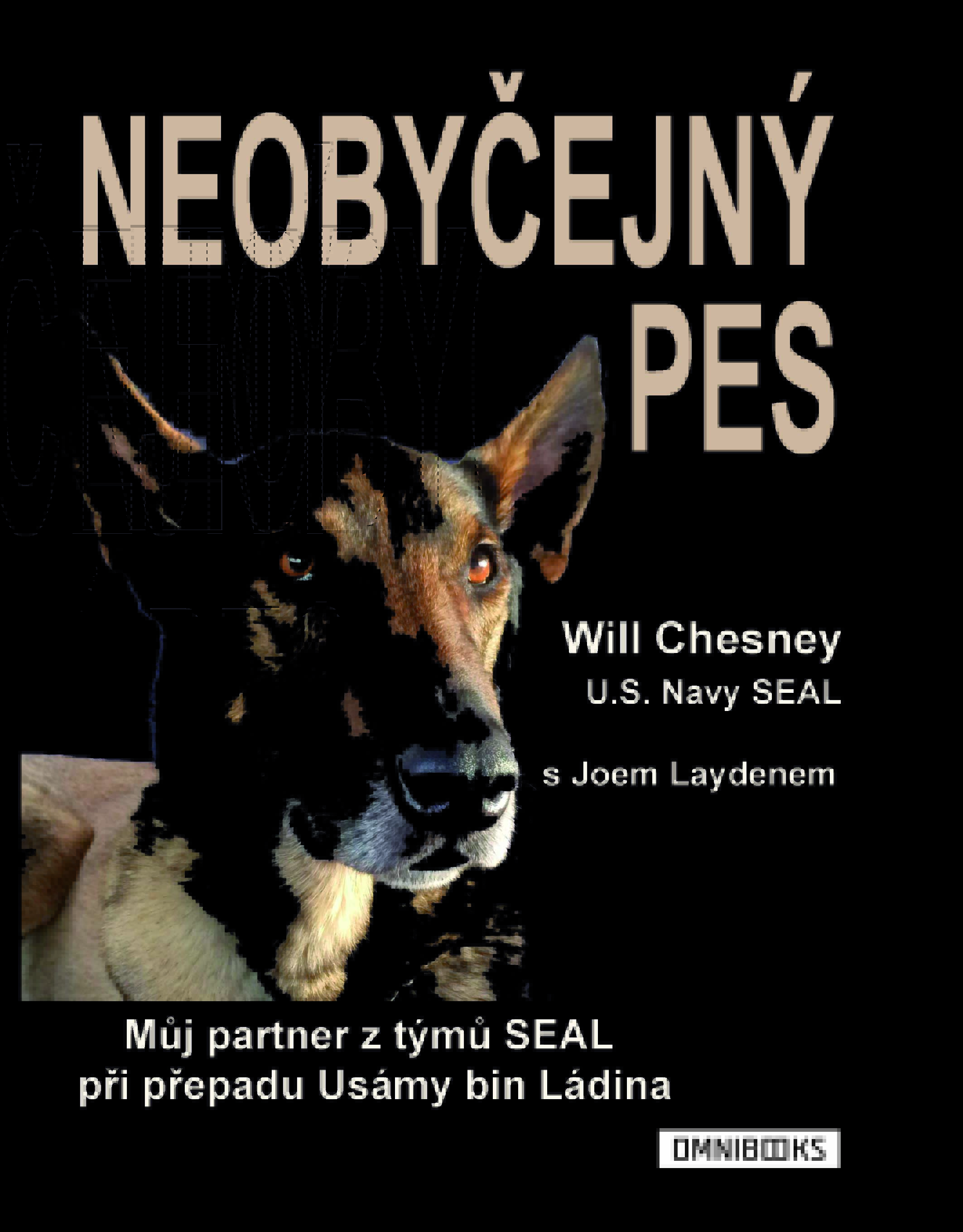 E-kniha Neobyčejný pes - Will Chesney