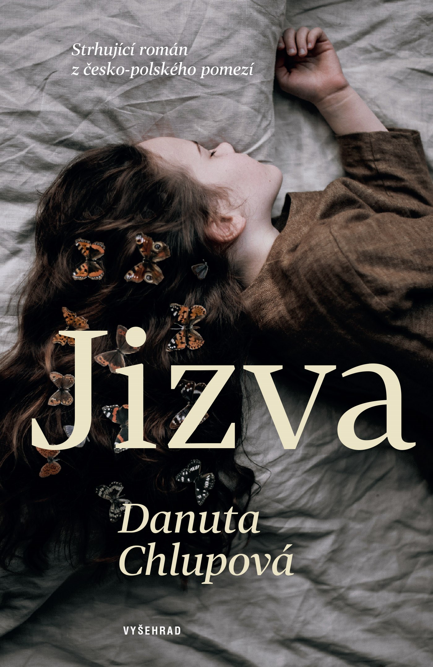 E-kniha Jizva - Danuta Chlupová