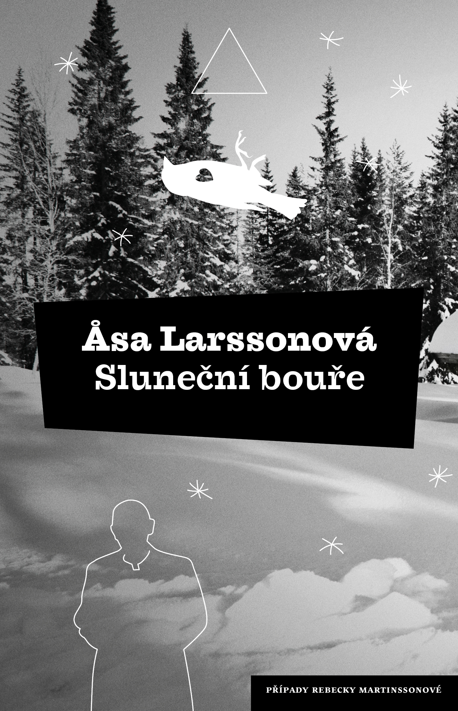 E-kniha Sluneční bouře - Åsa Larssonová