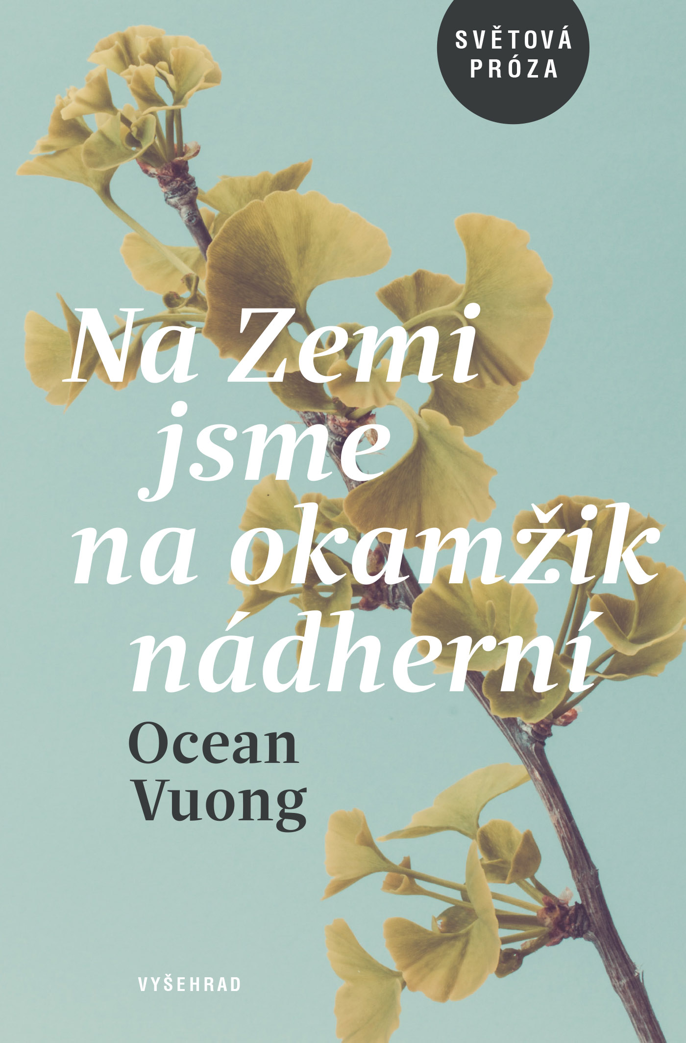 E-kniha Na Zemi jsme na okamžik nádherní - Ocean Vuong