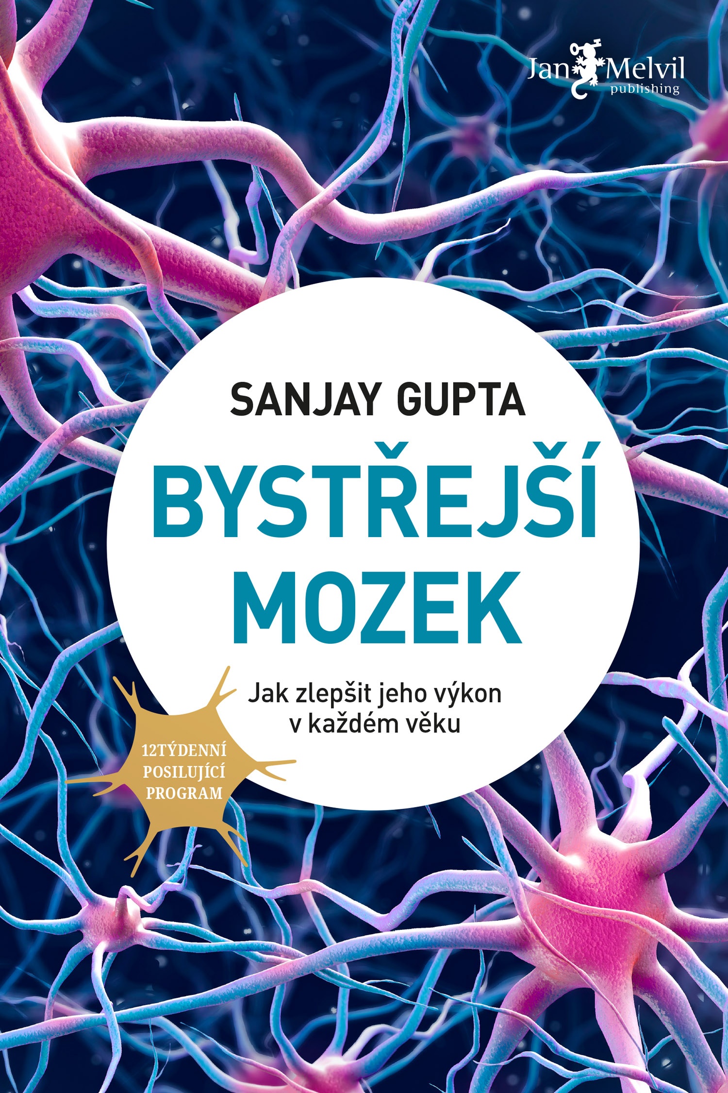 E-kniha Bystřejší mozek - Sanjay Gupta