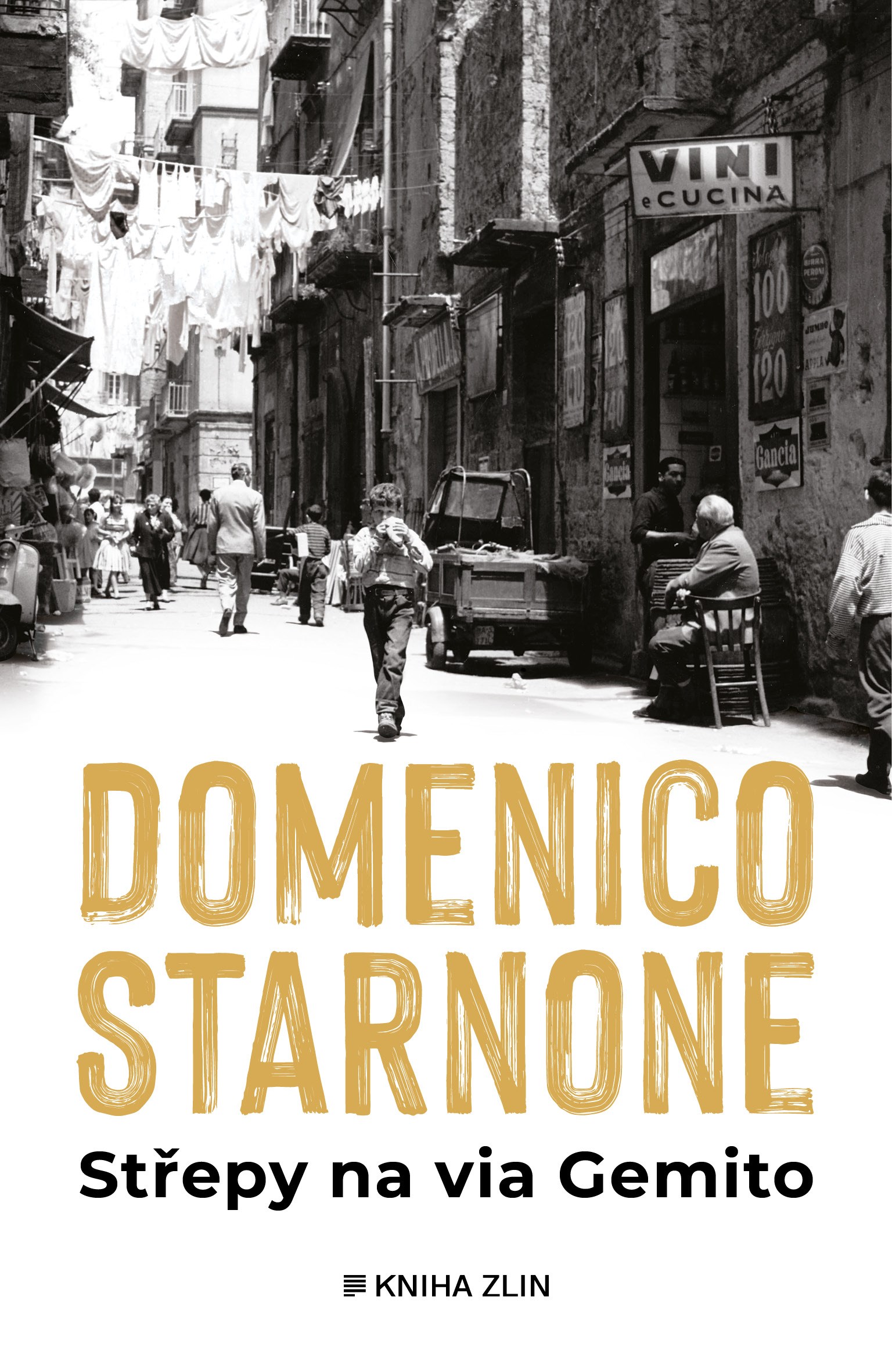 E-kniha Střepy na via Gemito - Domenico Starnone