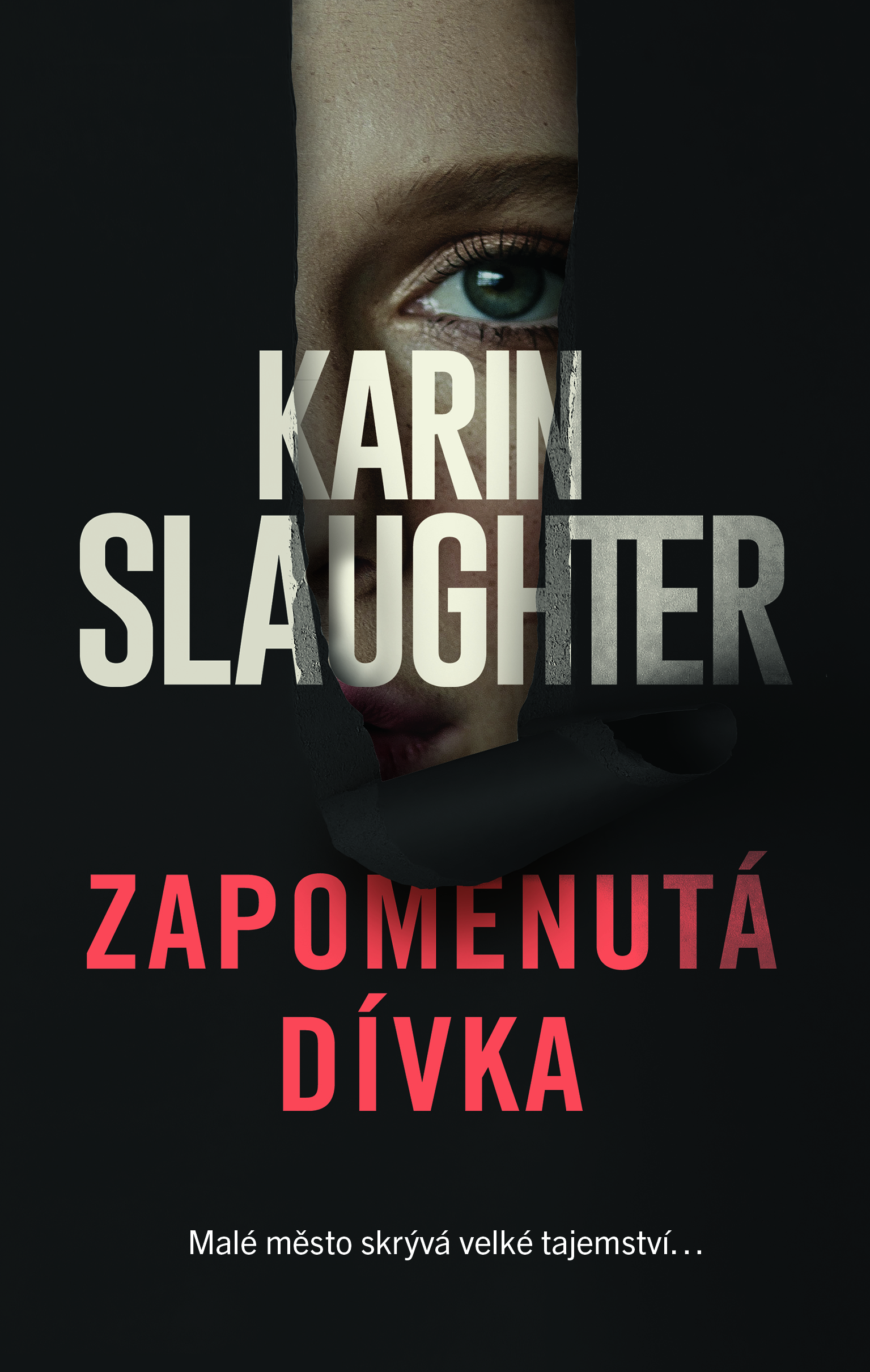 E-kniha Zapomenutá dívka - Karin Slaughter