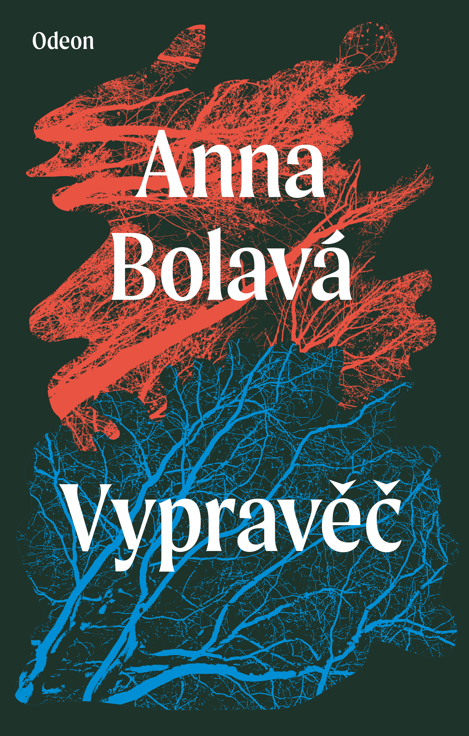 E-kniha Vypravěč - Anna Bolavá