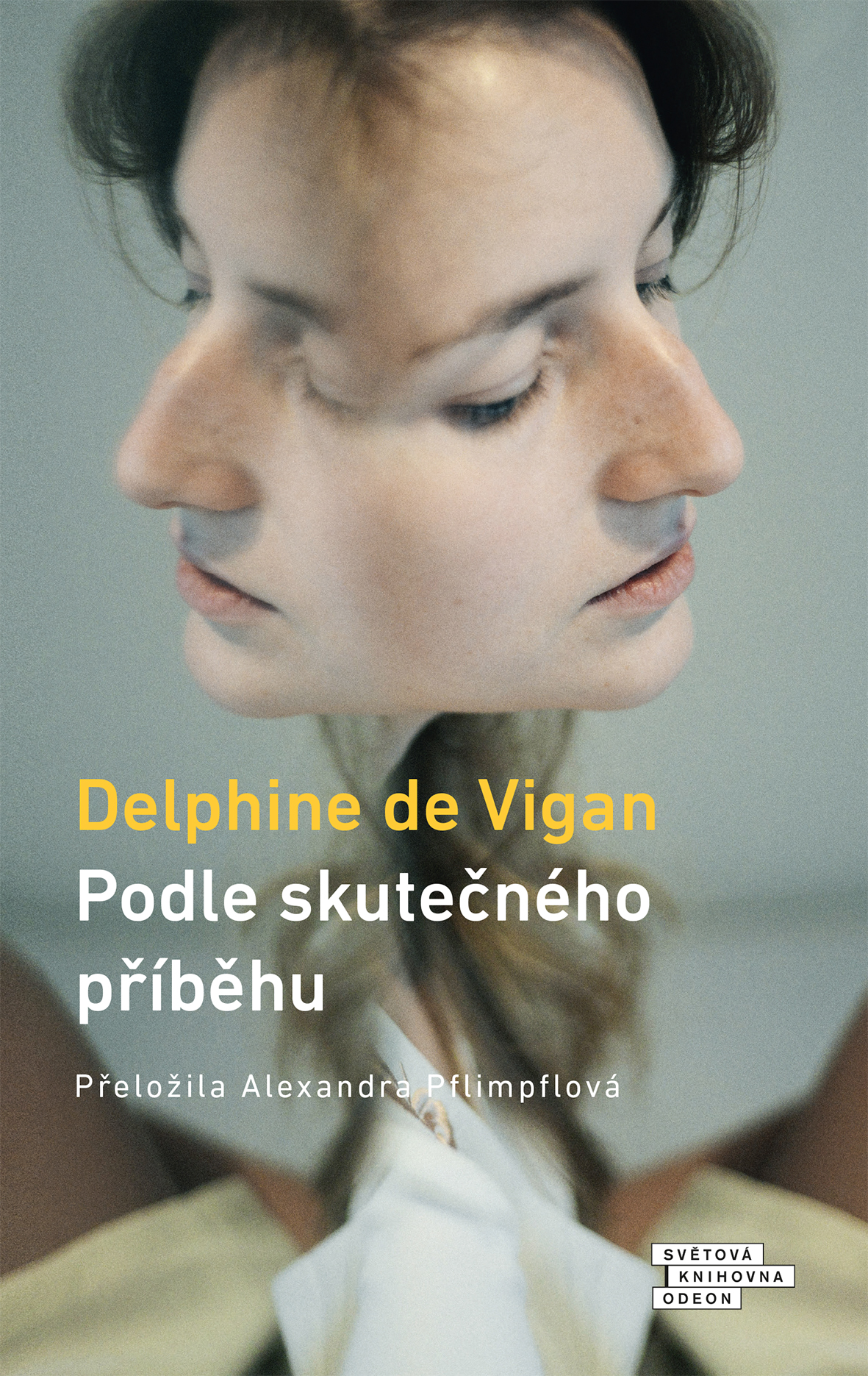 E-kniha Podle skutečného příběhu - Delphine de Vigan