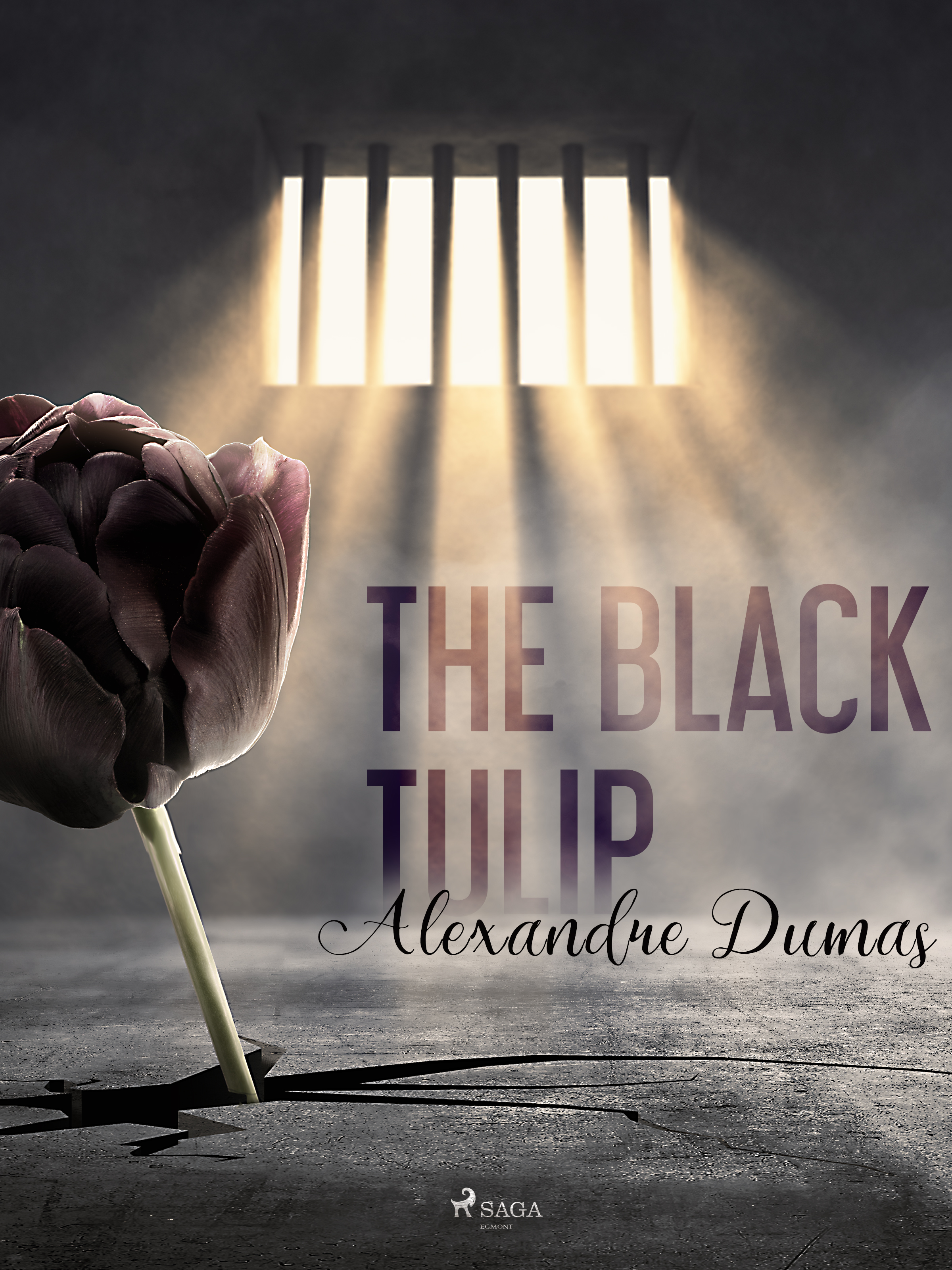 E-kniha The Black Tulip - Alexandre Dumas