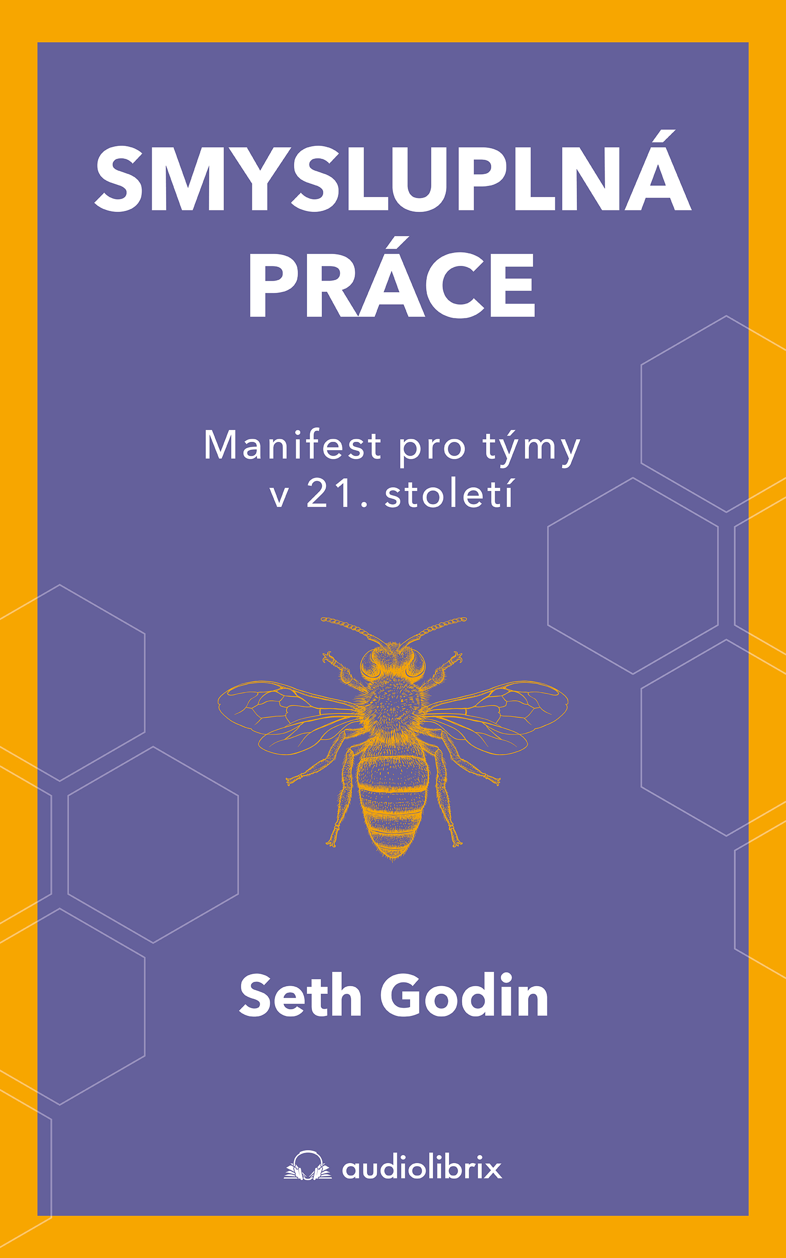 E-kniha Smysluplná práce - Seth Godin